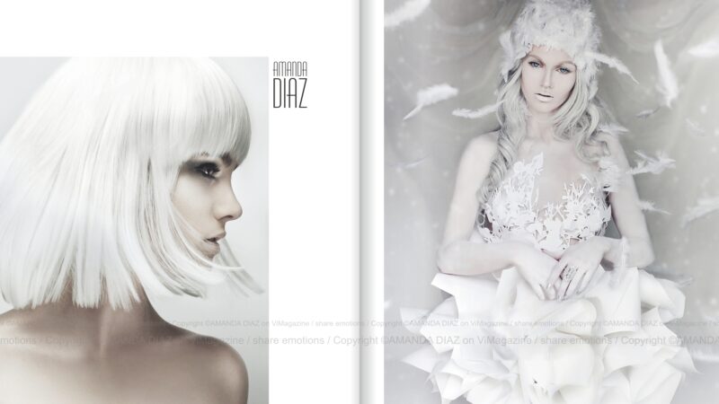 ViMagazine STORY
