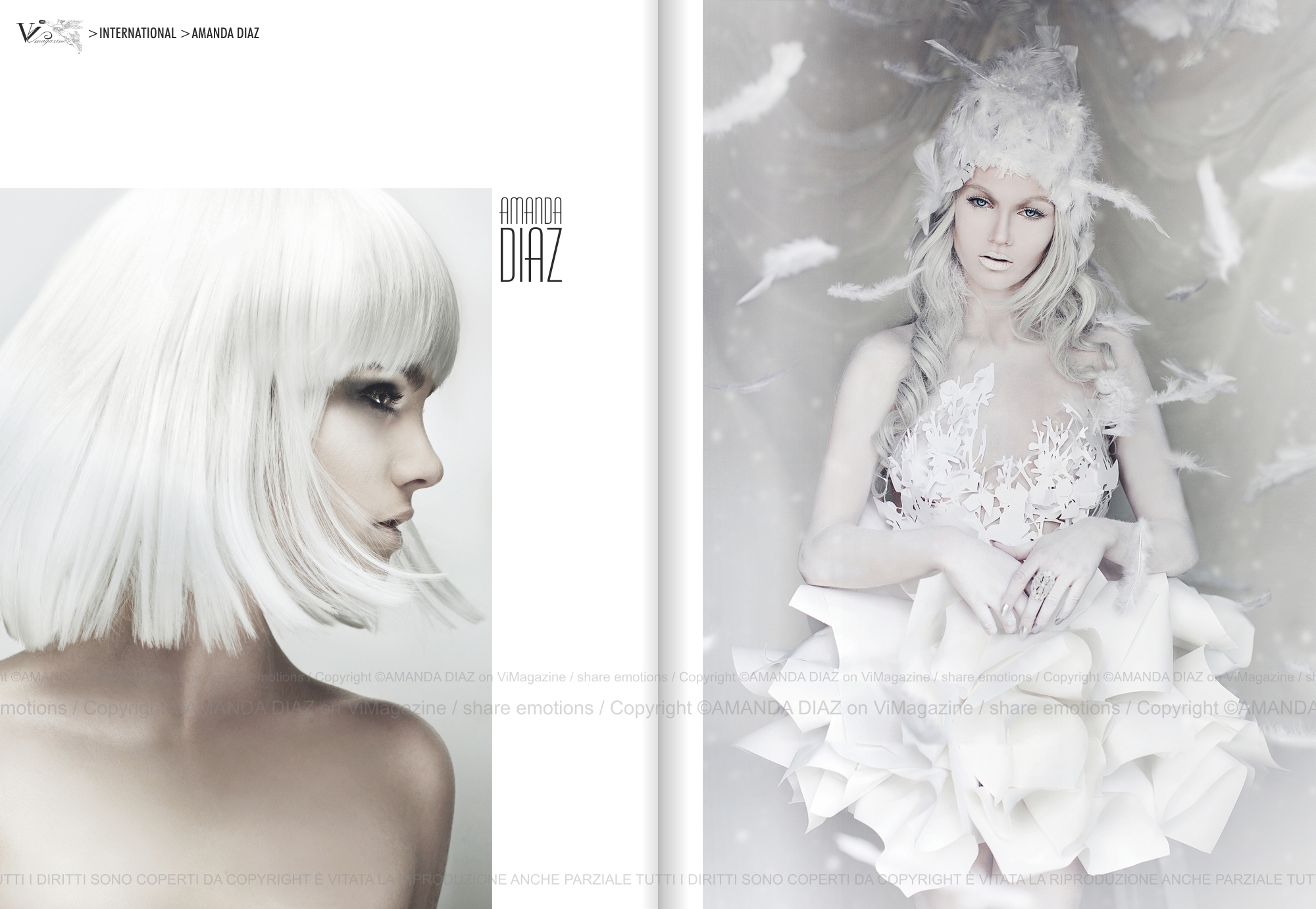 ViMagazine STORY