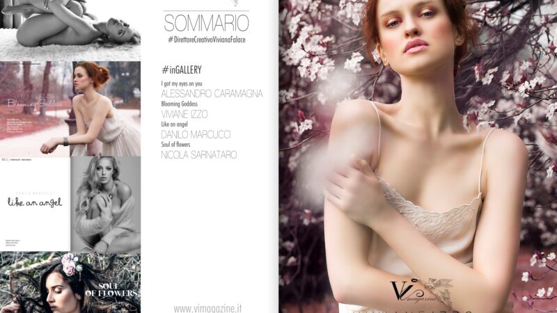 ViMagazine Story SOMMARIO